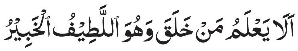 Surah Mulk Ayat 14