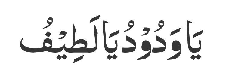 ya wadudu ya lateefu 